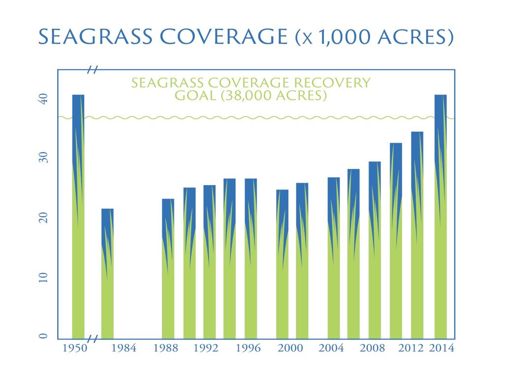 Seagrass Recovery