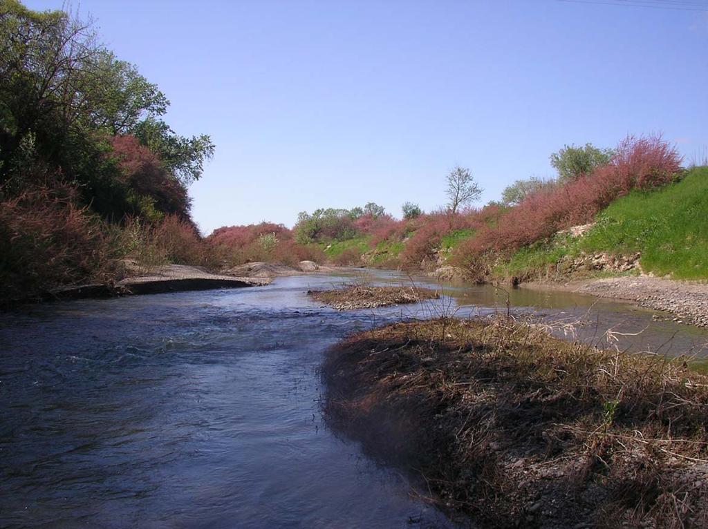 Photograph C: Site 2 (Huff s Bend).
