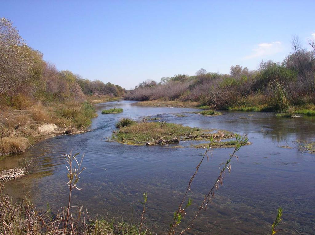 Photograph E: Site 3 (Cache Creek