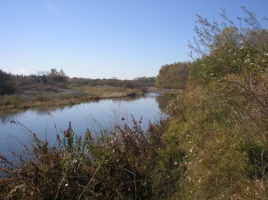 Photograph F: Site 3 (Cache Creek