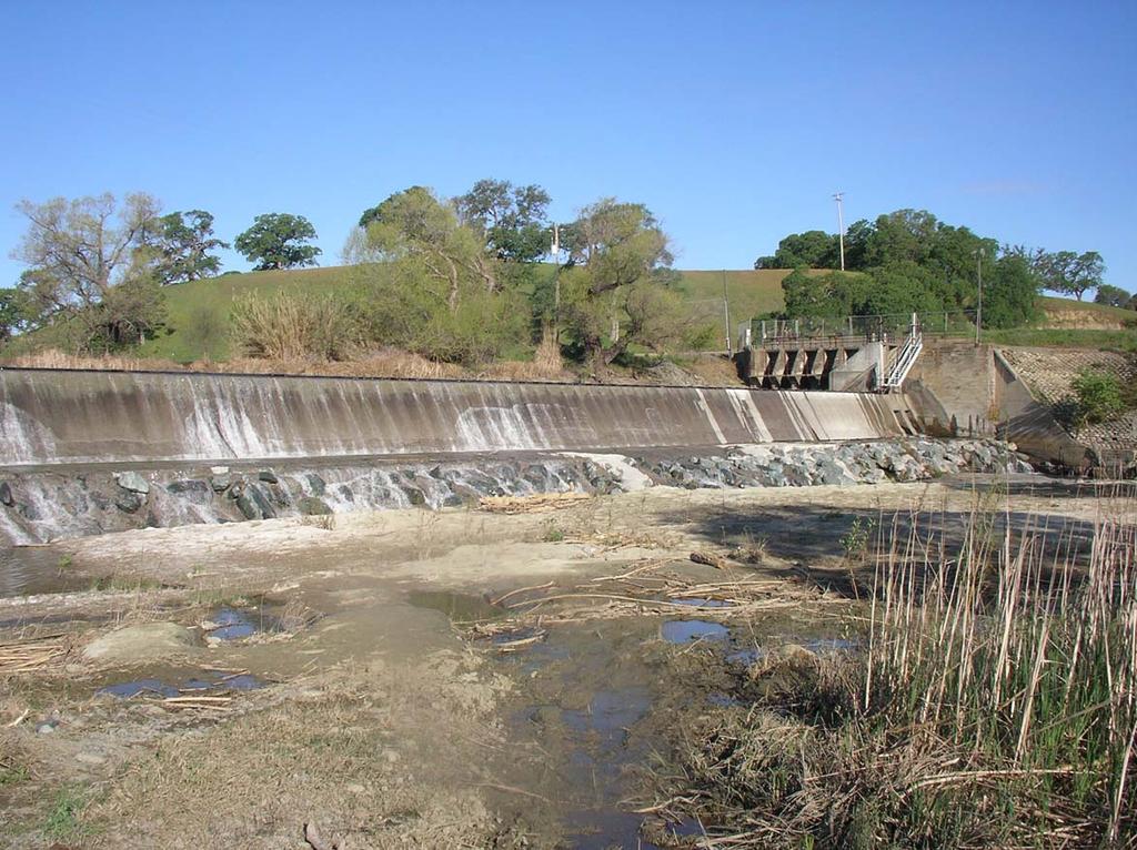 Photograph H: Site 5 (Capay Dam
