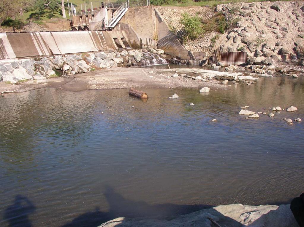 Photograph J: Site 5 (Capay Dam