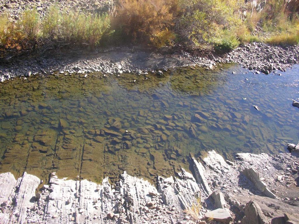 Photograph P: Site 9 (Lower Cache Creek