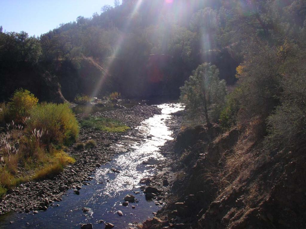 Photograph Q: Site 9 (Lower Cache Creek