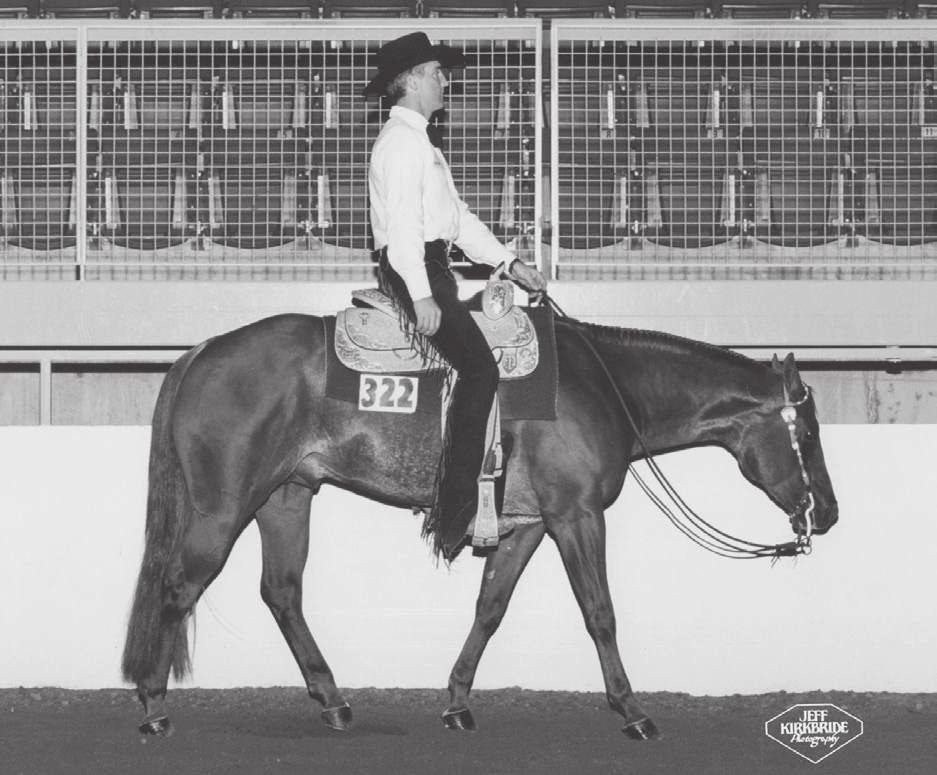 14 Absolute Investment 1995 Sorrel Stallion SIRE RECORD 14 Sire of the earners of 2,767 AQHA points, 10 Halter ROM, 44 Performance ROM, 8 Superiors, 3 AQHA Champions, earning $115,041, including