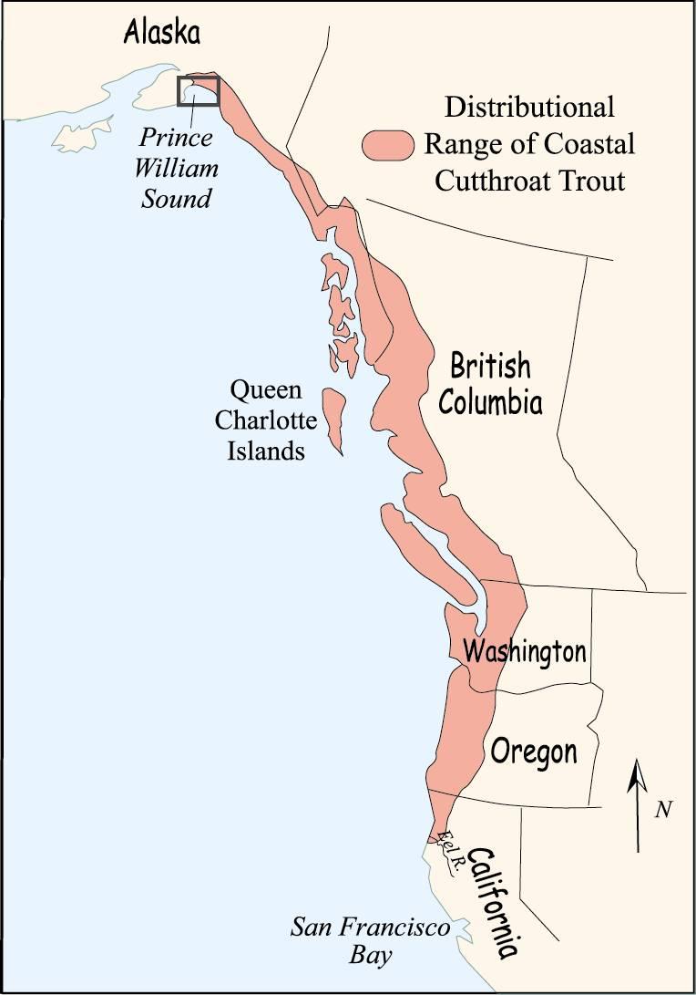 limits on recreational harvest of CCT are in effect in the Strait of Juan de Fuca, in coastal streams, and in all Lower Columbia River Basin streams not subject to catch and release regulations.