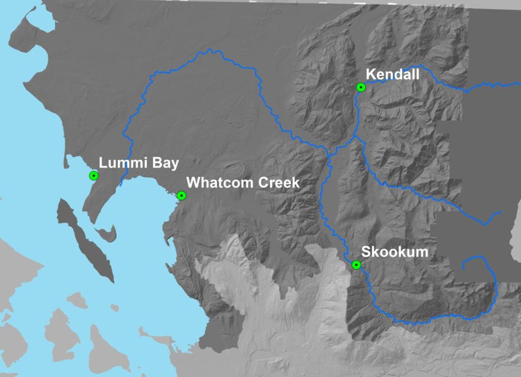 Name Kendall Creek Skookum Creek Agency Species WDFW Lummi Early Chinook, Chum, Steelhead Early Chinook, Coho Lummi