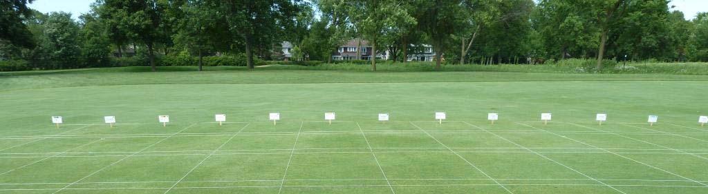 Early Dollar Spot Disease Control for Chicago Fairways Researchers: Chicago District Golf Assoc.