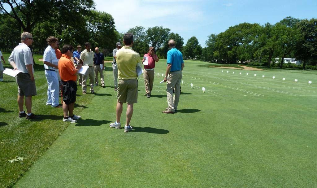 A summer field day concluded the dollar spot study on 8 fairway with