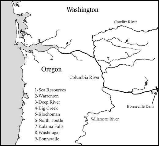 CHINOOK SALMON VULNERABILITY TO AVIAN PREDATION 1323 METHODS Two to four groups of approximately 3,000 subyearling fall Chinook Salmon at LCR hatcheries were PIT tagged each year from 2002 to 2010,