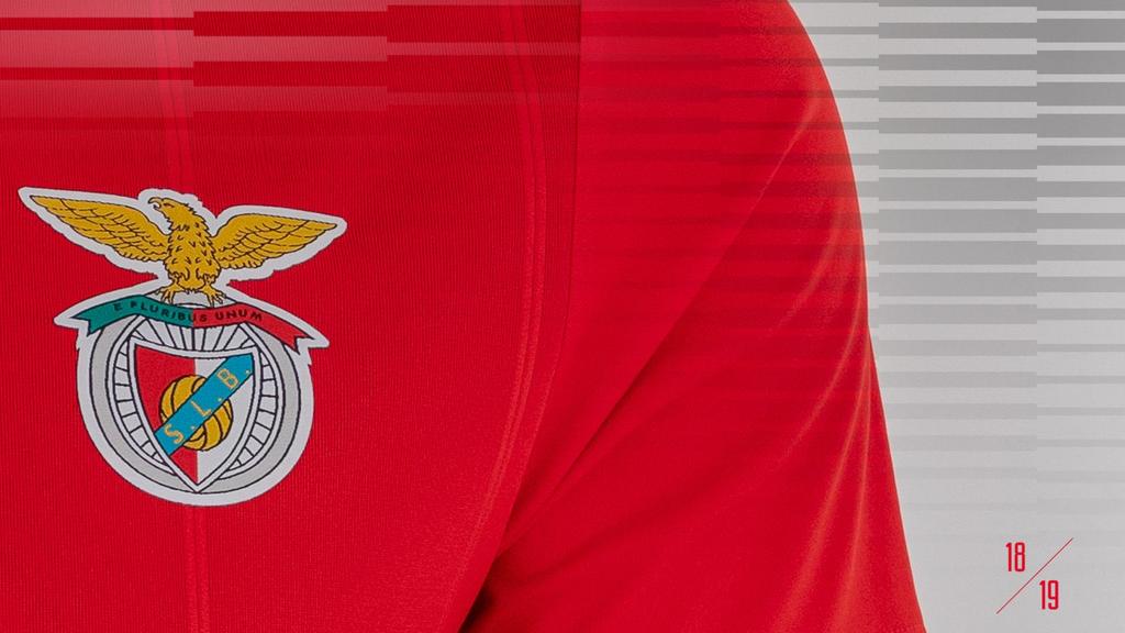 BENFICA COACH EDUCATION Benfica & Coerver Partnership 7 th to 11 th