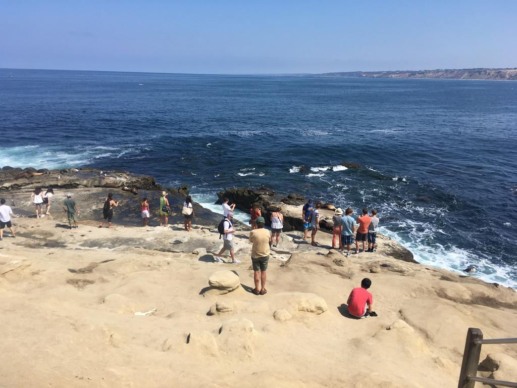 San Diego-Scripps Coastal SMCA and Matlahuayl SMR Survey Sites -La Jolla- BACKGROUND INFORMATION The La Jolla transects cover two marine protected areas.