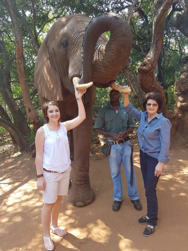 activities! Debbie and Lindie visited the Elephant Sanctuary where there was some great interaction with the gentle giants. A delightful experience!