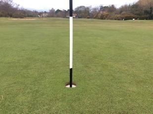 Figure 2: The sward blend is strong with finer bents showing more obviously in better greens e.g. 18.