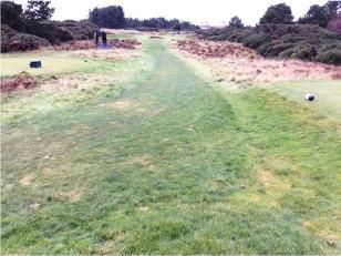 Figure 4: The fairways were in good condition and the process of deep aeration was