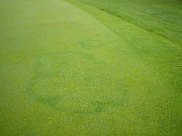 Fairy ring where, when, why?