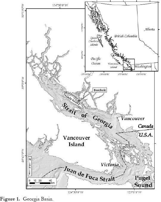 AN EXAMPLE: THE STRAIT OF GEORGIA WHERE SALMON RULES Chinook and coho 1 st year marine survival has decreased