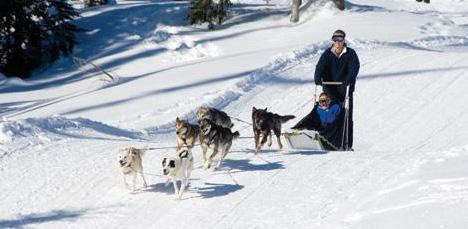 activities sleigh rides horse drawn sleigh rides Come aboard an old fashioned horse drawn sleigh for an unforgettable experience in the winter wonderland of Big White s snow covered forest trails, a