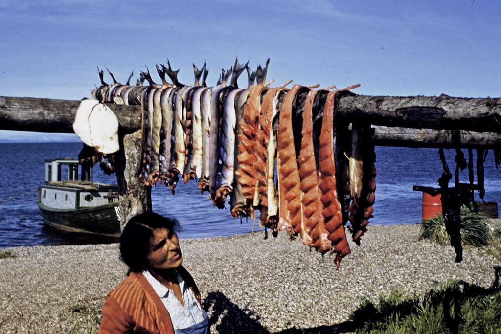 Seal meat and fish drying. Deering.
