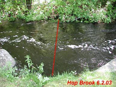 HOP-011 Hop Brook, Northborough From ABT-312 go back along Mill Road