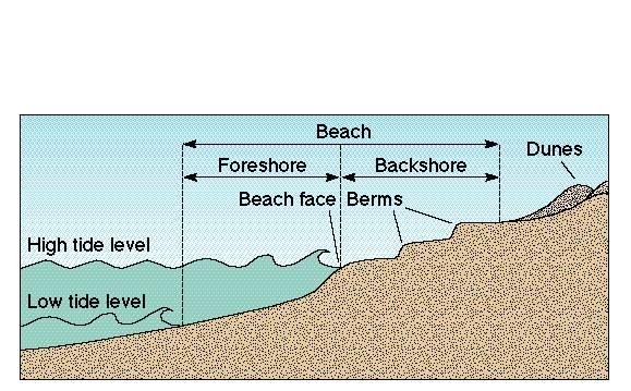 Definition The beach A beach is a deposit of unconsolidated sediment extending landward