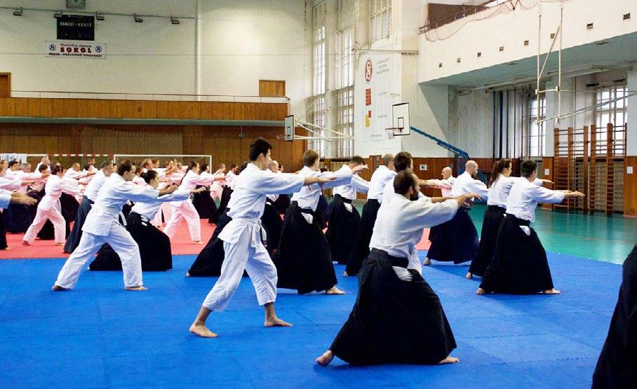 Photos of many of these events can be found on the website www.aikidovinohrady.cz/fotoblog.