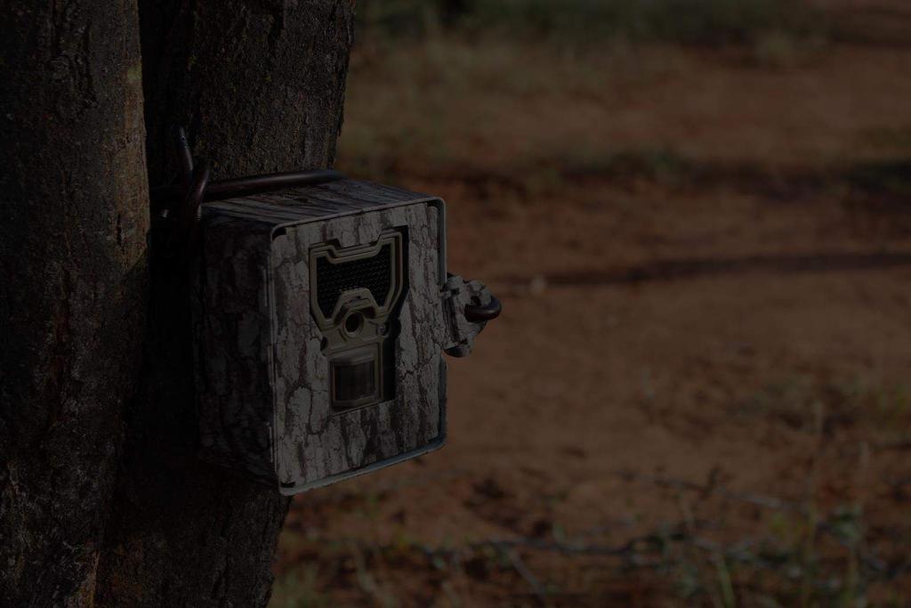 TRAIL CAMERAS We created a grid of 100 trail cameras to gain a better