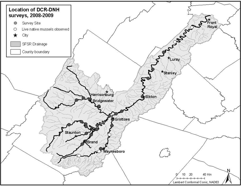 52 BANISTERIA NO. 38, 2011 Fig. 4. DCR-DNH freshwater mussel survey locations in the South Fork Shenandoah River drainage, 2008-2009.
