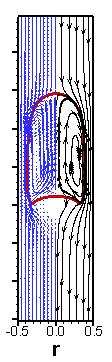 Computational Methods in Multiphase Flow V 117 (a) (b) (c) (d) Figure 3: Detailed flow field around the terminal rising bubble in different sized pipes, (a) D = 1. 0Db ; (b) D = 1.