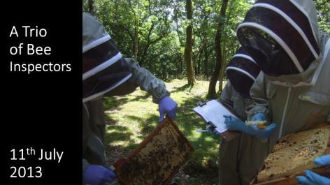 COLOSS (Colony Losses Surveys) is starting a new survey of Treatment Free bee colonies. Survey on Varroa destructor survivors: https://goo.