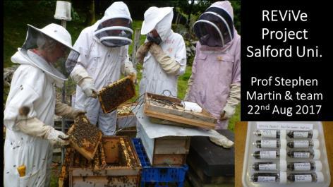 On 11 th July 2013 we had a visit from a trio; our local Inspector, the Regional Bee Inspector for Wales, and a colleague in training.