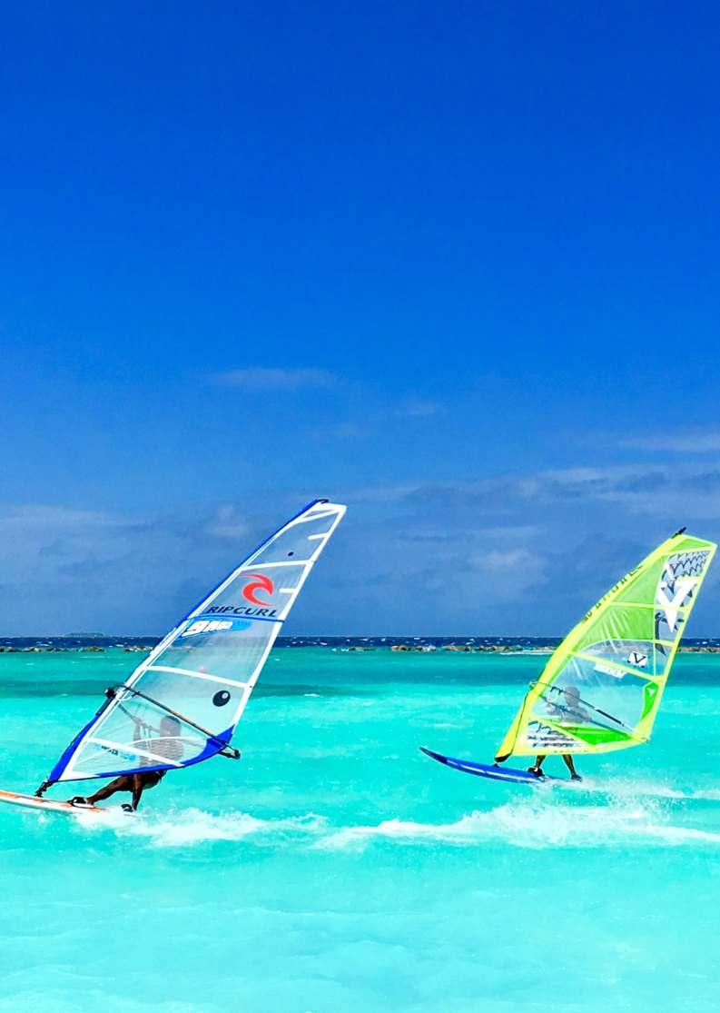 WINDSURFING COURSES Basic Course 8 Hours US.$ 194.