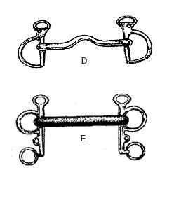 1. Name: a) two types of leather girths Lesson 5 Assignment 1 Saddlery b) two types of nosebands c) two types of martingales 2.
