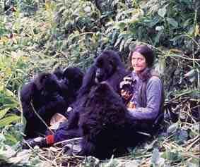 Individuals Matter: Dian Fossey Primatologist and zoologist from America 18 years understanding