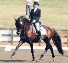 Straightness through the horse s natural anatomy allows the equine athlete to utilize his natural movement by asking the horse to distribute weight evenly over the two halves of his body.