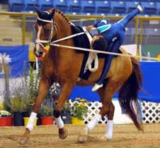 At the trot and canter, the horse s steps and strides are shorter (and higher in the front legs) than in a less or uncollected pace of the gait.
