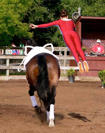 Coachingcorner How to practice falling from a horse... By Nancy Stevens-BrownDISMOUNT!
