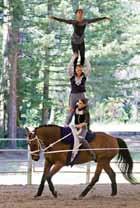 In addition to the usual vaulting, lungeing, and coaching classes, we held sessions on circus acrobatics, slack lining, team building, performance, accounting, horse training, and safe Photo courtesy