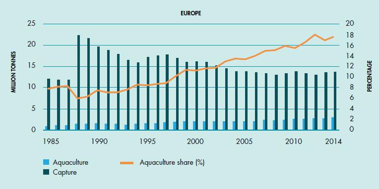 Historical development of aquaculture Importance of aquaculture in Europe.