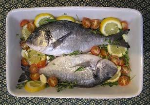 Historical development of aquaculture Why to eat fish: Source of nutrients: protein, fatty