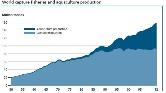 Historical development of aquaculture Global fisheries and aquaculture