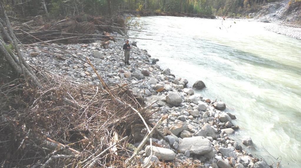 Figure 3: Looking downstream on the Squamish River mainstem showing the gap (exposed rocks) remaining after the high water event