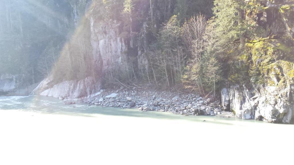 Figure 8: Looking across the Squamish River mainstem from the confluence with Turbid Creek. The debris torrent that shot down Turbid Creek extended completely across the Squamish.