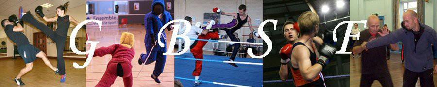 Annual report of the Great Britain Savate Federation April 2012 - April 2013 Mission: The Great Britain Savate Federation exists to promote the sport of Savate - French boxing - in Great Britain and