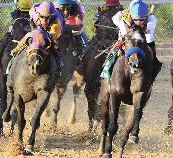 BRISNET.COM PPs OAKLAWN ANGLES by Ed DeRosa When it comes to finding a track with competitive racing, look no further than Oaklawn Park, which in 2018 ranked 1st by both average field size (9.