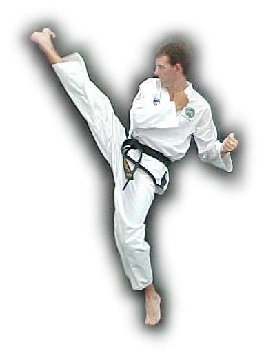 Low Twisting Kick It is used in attacking the opponent in front.