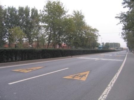 The countermeasures taken at the two pedestrian crossings include speed reduction markings,