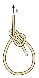 pull it with. 9. 10. Make a Bowline knot at the end of the rudder lines (see image).