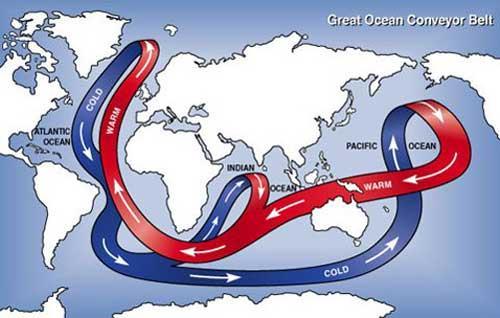 Factor 3 that affects climate OCEAN CURRENTS Like air, water can move using convection currents.