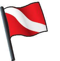 46 It s the Law! Diver-Down Flags State law requires that scuba divers or snorkelers display a diverdown flag to mark the diving area.